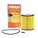 FRAM CH9641 Passenger Car Oil Filter