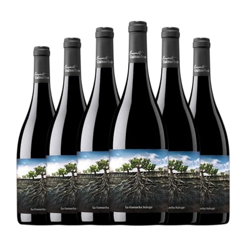 Proyecto Garnachas La Garnacha Salvaje del Moncayo Garnacha Vino de la Tierra Ribera del Queiles 75 cl Vino tinto (Caja de 6 Botellas de 75 cl)