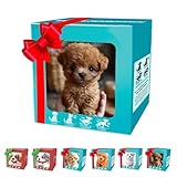 【2025 Nuevo perro robot】 Este pequeño perro tiene una apariencia altamente realista. Hecho a mano de artesanía exquisita, su pelaje se siente realista, y sus ojos, la nariz y las proporciones corporales son casi idénticas a las de un cachorro real, lo que dificulta notar la diferencia.