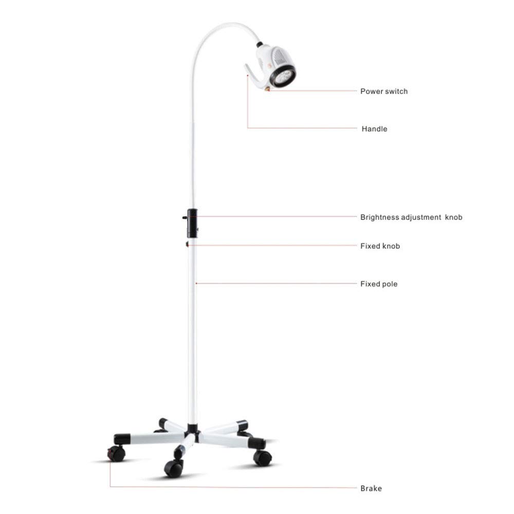 DOC.ROYAL 21W Mobile Exam Light Lamp Floor Stand Type Adopt 7pcs 3W LED Bulb as Light Source KD-2021W-1