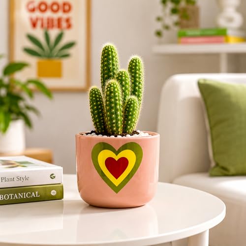 Image of Urban Plant Blush Pink Heart Handcrafted Terracotta Planter | Colourful Indoor Clay Pot for Living Room | Artisan Decorative Flower Pot for Plant Lovers | Drainage Hole | 4.5 Inch