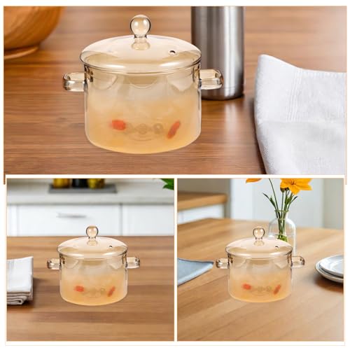 Marmite verre borosilicate cuisson plaque four pour soupes pâtes ragoûts Gatuida