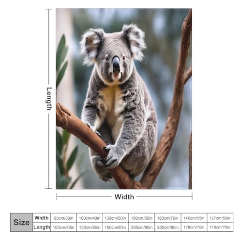 Couverture flannel douce koala 150x200cm haute qualité