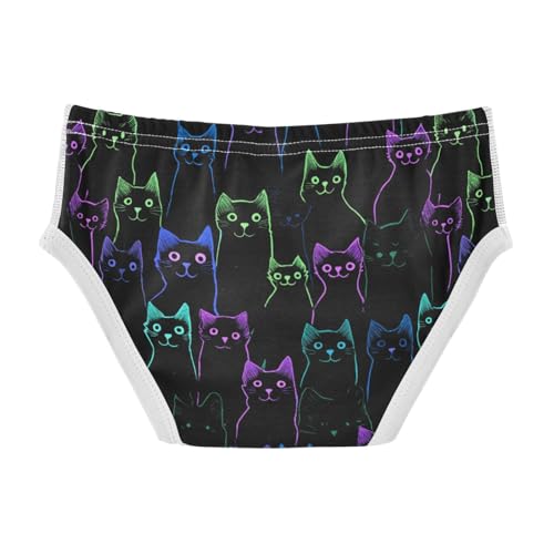Wusikd Black Cat Boys' Underwear Cotton Galaxy Boys Briefs Soft Toddler Underwear 2T2