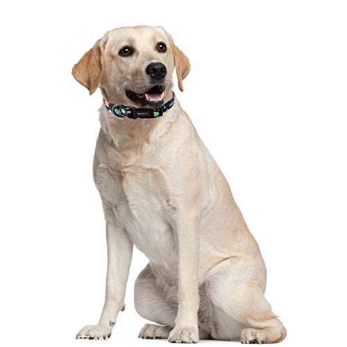 Qqpets Adjustable Soft Dog Collar: Print Flower Pink Multicolor Cute Patterns For Xs Small Medium Large Pet Girl Boy Puppy Walking Running Training (L, Space) #TOP6