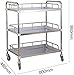 Utility Cart Lab Serving Cart, Stainless Steel Trolley Equipment Trolley for Beauty Salon (Large)