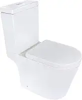 Vaso Sanitário Com Caixa Acoplada
