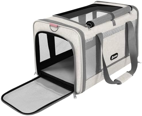 Cat Carrier American Airline Approved 18x11x11 — shown in a real home setting for scale