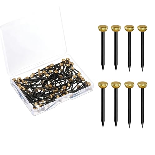 LifgWas 100 Unidades Clavos con Cabeza de Latón Clavos para Hormigón 1.3x25mm con Caja de Almacenamiento Cabeza Dorada y Acero Negro para Marcos de Fotos y Cuadros de Pared