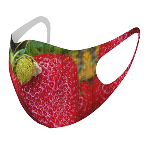 [igsticker] fUC }XN QZbg |GXe 􂦂 z}XN jp MTCY 026024 t[c ʕ 