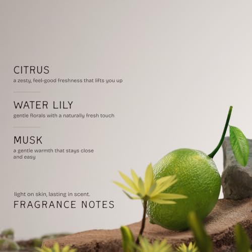 Image of The Bare Bar Sea Breeze Natural Deodorant Stick 28g | Up to 24-Hour Odour Control | Long-Lasting Freshness | Aluminium-Free, Baking Soda-Free | No White Marks, No Staining | For Men & Women