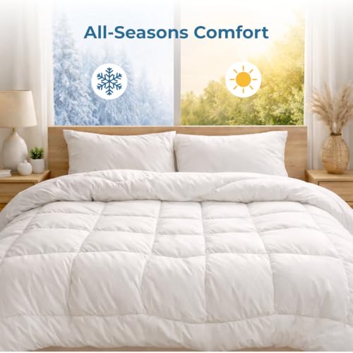 Image of Dreamzee 300 GSM Ultra-Soft Quilted Microfiber AC Comforter Queen Size (White, 90x60 Inches) | Lightweight, Reversible Duvet for Winters | All-Season Blanket for Bedroom