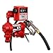 Fill-Rite FR2411H 24V 15 GPM Fuel Transfer Pump w/Mechanical Gallon Meter Package