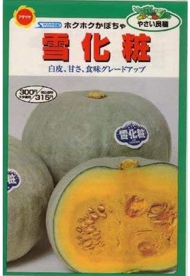Amazon 一代交配 雪化粧かぼちゃ 379 野菜