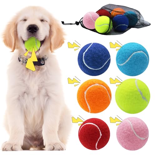 Swingers Squeaky Tennis Balls for Dogs 2.5 inch Training Tennis Balls Exercise Ball for Pet Dog with Mesh Carry Bag Easy to Transport (Multicolor 6 Pack)