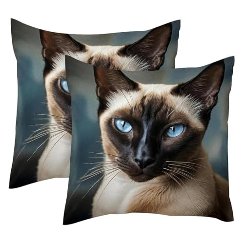 Housse de coussin chat velours 50x50 cm lot de 2