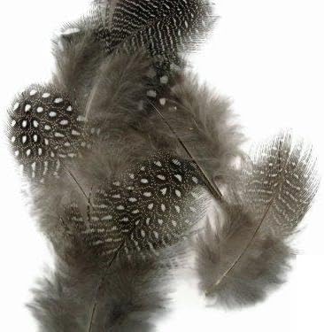 1 Pack - Natural Black and White Guinea Hen Polka Dot Plumage Feathers 0.10 Oz. Halloween Craft Supplier | Moonlight Feather