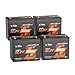 LiTime 12V 100Ah Group 24 Bluetooth LiFePO4 Lithium Deep Cycle Battery with Self Heating & Low-Temp Protection, Max. 15000 Cycles, Perfect for RV, Solar System, Trolling Motors etc (4 Pack)