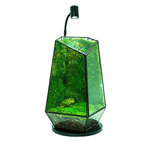 HIRO Aquatics MINI Terrarium Aquarium Black Spotlight for Potted Plants, Betta Fishes, Bottle Jars, Displays, Indoor Plant, Succulents, Air Plants by HIRO AQUATICS - Used condition - Image 3