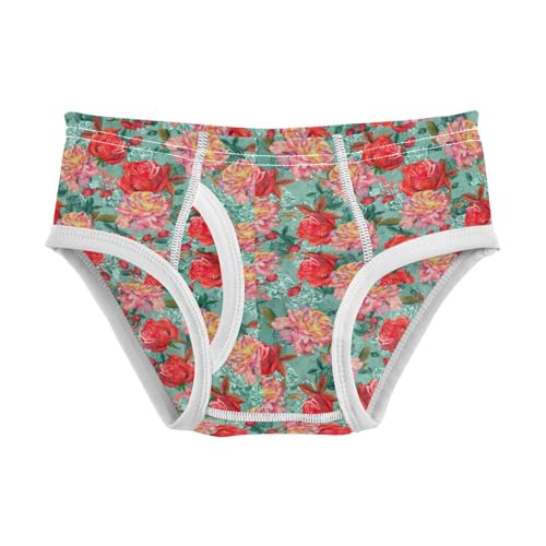 Boys' Exclusive Briefs Toddler Underwear 95% Combed Cotton Boxerbriefs 2T Rose Pattern 14