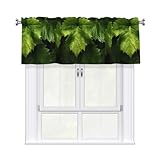 Photo Gallery whjssf tenda con stampa di foglie di uva verde con asta corta, 137,2 x 45,7 cm, per la maggior parte delle aste per tende standard o decorative, per cucine, bagni, lavanderie Photo Gallery whjssf tenda con stampa di foglie di uva verde con asta corta, 137,2 x 45,7 cm, per la maggior parte delle aste per tende standard o decorative, per cucine, bagni, lavanderie