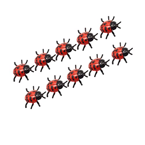 VANZACK vX`bN~j͑ĂƂ10 K[ffR[Vdiyp q}CNi~jV~[VĂƂf tFA[K[fAؔ