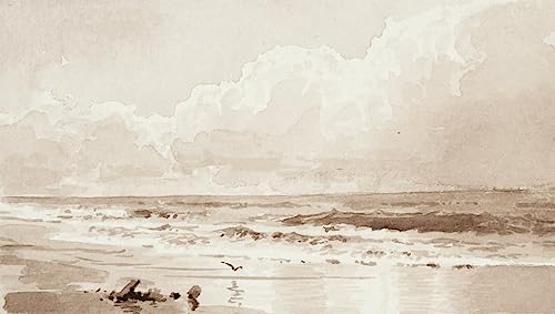 Paysage marin avec oiseau tableau salon moderne grand format pour évasion quotidienne