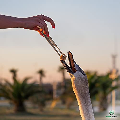 Xtrm Craft Thumb Dressing Forceps, Mulipurpose Tweezer Stainless Steel, Serrated Tip Straight 12 Inch #TOP6