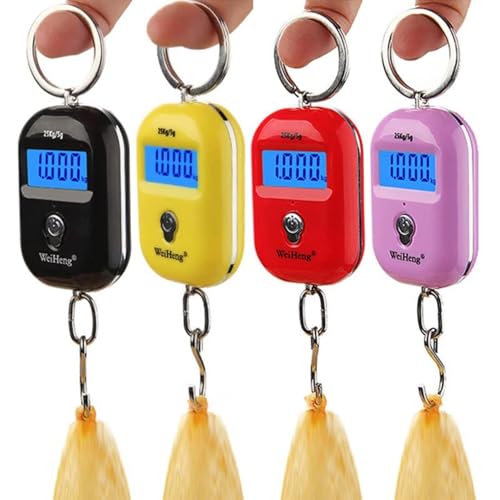 Rtwrsudクレーンスケール デジタル吊りはかり ミニ吊りはかり キーホルダー型 最大計量25kg ダブル精度式 持ち運びやすい バックライト LCDディスプレイ付き 見やすい コンパクト 家庭用 果物店用 作業用正確な小型携帯用電子スケールの高精度の小