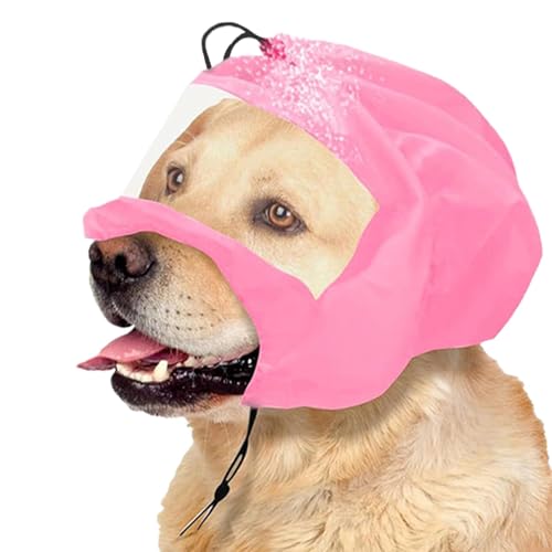 pV[nbg h Jo[ |GXeی (sN)