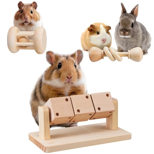 AOWPFVV 3 Pcs Wooden Enrichment Toys
