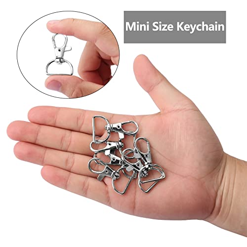 20 Pcs Swivel Lobster Clasps with D Rings, 1 inch Silver Swivel Keyring Clasps for Crafts Bag Making Jewellery Making Lanyard Pet Leashes Ropes