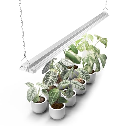 Barrina TX72 4FT Grow Light for Indoor Plants, 72W (500W Equivalent), High PPFD, 5000K Daylight Full Spectrum, Grow Lights for Seed Starting, Vegetable, Greenhouse with On/Off Switch, Linkable, 1 Pack