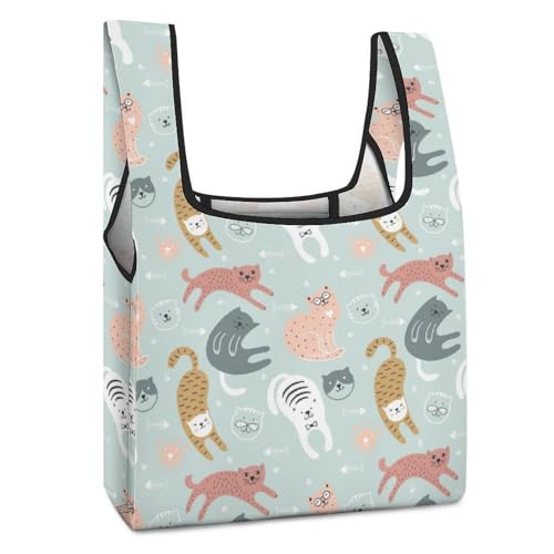 [EXDYNA] ܂肽 lR L GRobO e y ϋv RpNg  VbsOobO Wܑp ^ѕ֗ g[g^ JԂg ʋ ʊw s