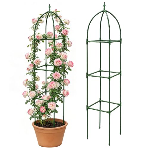 Tutor para plantas trepadoras exterior y estructura vertical de metal para jardin y terraza 2