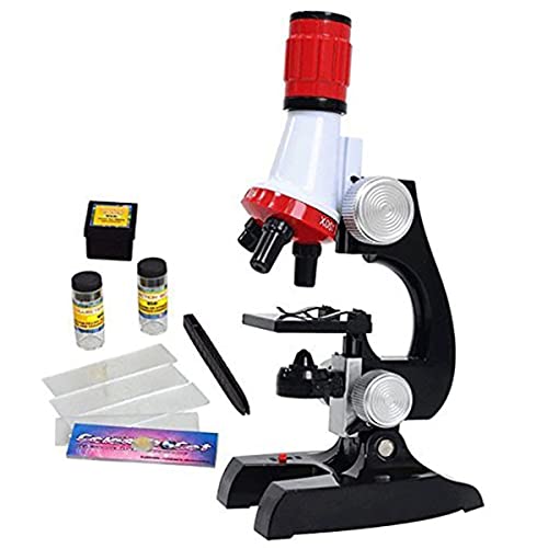 Lbg Lbg{ LED 100X-400X-1200XwZߋ YA_v^[
