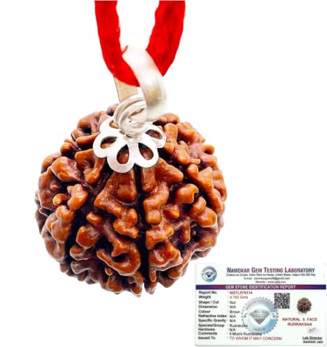 Image of Siddha 6 / Mukhi Pure Rudraksha, Laboratory Certified, Carefully Capped with Silver Between Nepalese Beads with Handmade Tassel, Size 16mm-22mm, Color-Brown (6 Mukhi Silver Rudraksha)
