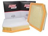 Baldwin PA10417 Engine Air Filter with Foam Pad (2-Pack) - High Efficiency Compatible with Select