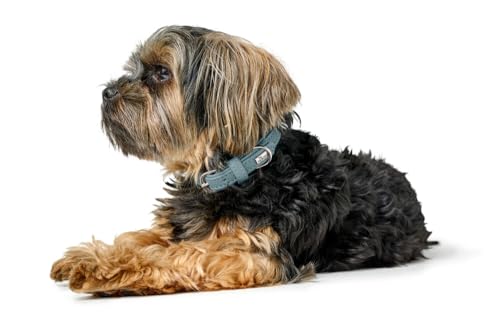 Hunter Hundehalsband SOHO MINI, Farbe: hellblau, Rindsleder, weich & geschmeidig, fellschonend, leicht, für kleine Hunde & Welpen, Made in Germany, Größe: 27