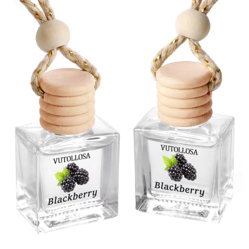 Image of Car Air Freshener Hanging Blackberry 2 Pack,Essential Oils Diffuser Car Scents Decor Air Freshener,Long-Lasting Cute Car Accessories for Women & Men