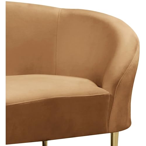 Image of Rosewood Luxury Curved Sofa in Premium Velvet-Fabric | Solid Wood Structure | High Density Foam | Sturdy Golden Legs | Comfortable & Stylish Couch for Modern Living Room (Saddle, 1 Seater)