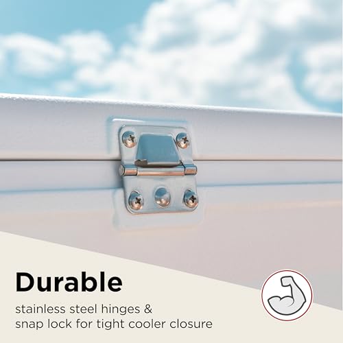 Image of COLEMAN 28 QT Ice Box (26.4 Liter) With Capecity - 39 Cans And Ice Retention - 3 day /BPA Free Material (White)