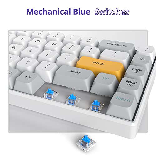 Owpkeenthy 60 Percent Mechanical Gaming Keyboard With Xda Keycaps Blue Switch Ultra Compact Rgb 68 Keys Wired Gaming Keyboard N-Key Rollover For Pc Xbox And Playstation (Heavy Industry/68 Blue Switch) #TOP4