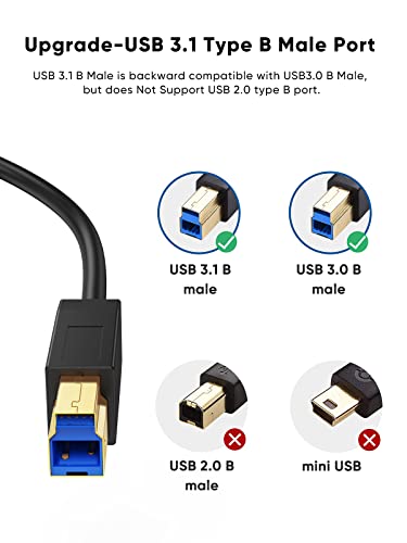 Cablecreation Usb 3.1 C To Usb B Cable 4Ft, Usb Printer Cable Usb B To C 10Gbps For Thunderbolt 3 Host Macbook Pro Air Usb B Printer, External Hard Drive, Docking Station, Scanner, 1.2M Black #TOP2