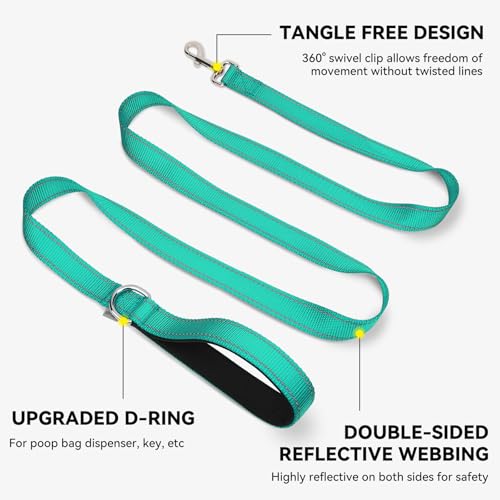 Joytale Dog Leash, 6 FT Double-Sided Reflective, Padded Handle Nylon Heavy Duty Leashes for Medium & Large Dogs Walking, Teal - Image 6
