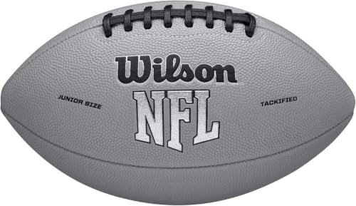 Image of WILSON NFL Recreational Footballs