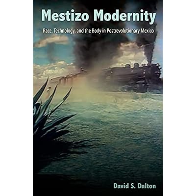 Mestizo Modernity
