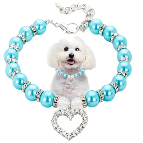 lbNXJ[At@V[LbgEFfBOJ[WG[ANX^CXg[n[gy_gtK[Y킢LLybgJ[qqLpaMtg^u[AL