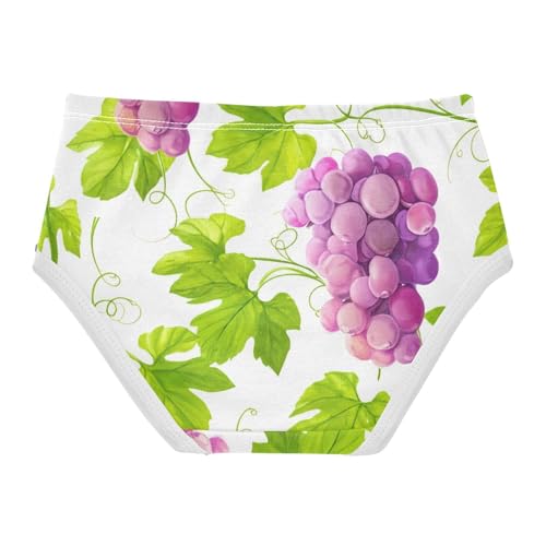 Toddler Underwear Floral 2t Cotton Panties for Girl Bright Undies Kids Briefs Purple Grapes Leaves White2