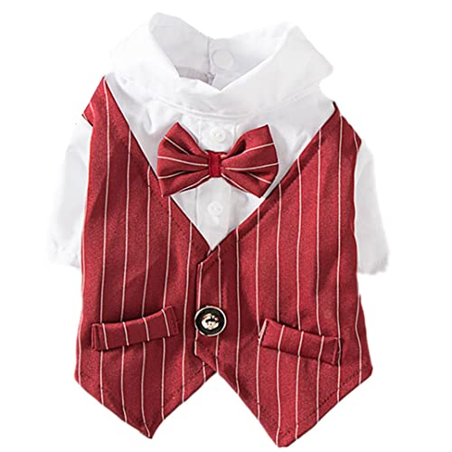 ICOUCHI ���� ���V���c �t�ďH �y�b�g�� �ʋC�� �R�X�`���[�� �ϐg�� �h�b�O�E�F�A �^�L�V�[�h �X�g���C�v�� ���l�N�^�C�t�� �X�[�c �l�C �t�@�b�V���� �t�H�[�}�� ������ ���� ���m�� �����^�� ���U�� ���o���� ���Ă��h�� �E�ѕی�